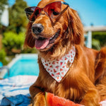 “Watermelon Sugar" Bandana