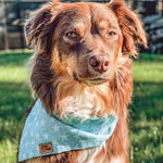 “Under The Sea" Bandana