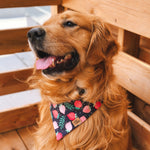 "Strawberry" Bandana