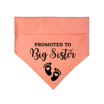 "Promoted to Big Sister" Bandana