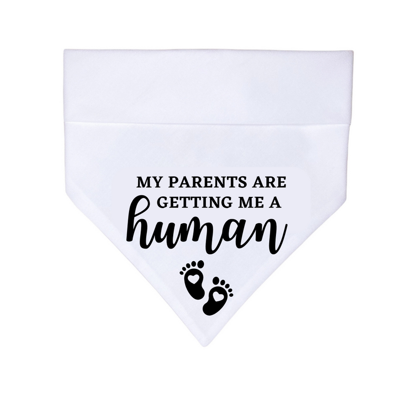 "My parents are getting me a human" Bandana