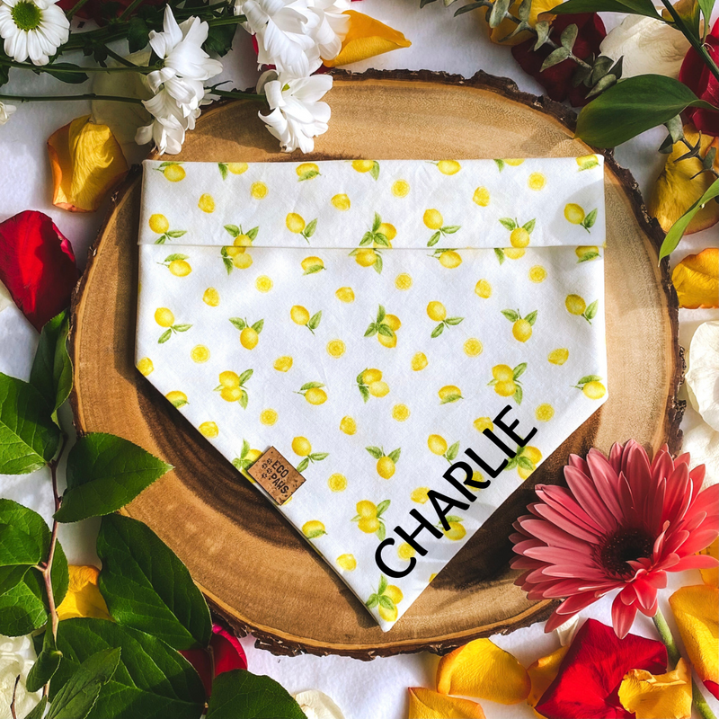 Lemon 2024 dog bandana