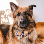 “Latte" Bandana