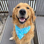 “Pool Day" Bandana