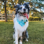 “Pool Day" Bandana