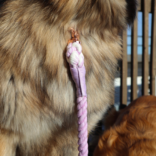 Lavender Rope Dog Leash