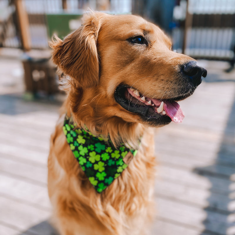 "St Paddy's" Bandana