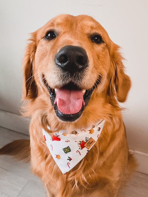 “Holly Jolly Christmas” Bandana