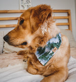 “Winter Pines” Bandana