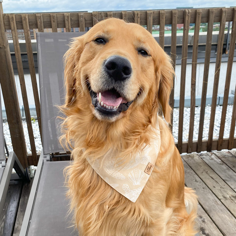 “Sandy" Bandana