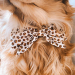 “Coffee Beans" Bow