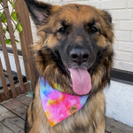 "Pink Tie Dye" Bandana