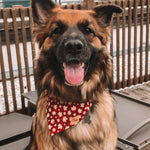 “Canadian At Heart" Bandana