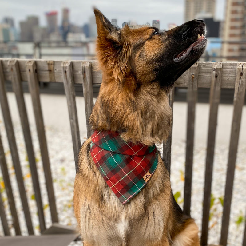 "Woodland Plaid" Bandana