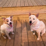 “Watermelon Sugar" Bandana