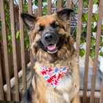 "Retro Daisies Red" Bandana