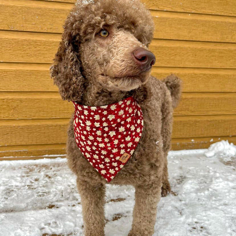 “Canadian At Heart" Bandana