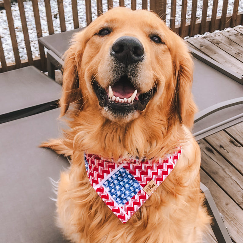 "Patriotic" Bandana