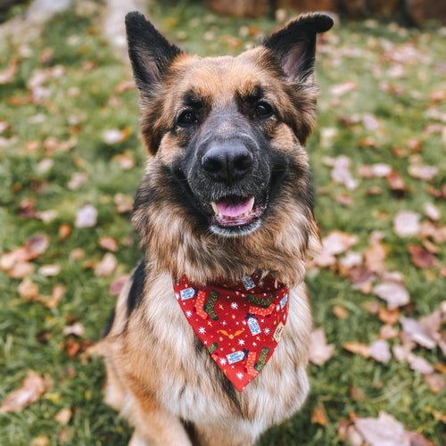 "A Hogwarts' Christmas" Bandana