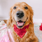 "Be My Valentine Red" Bandana