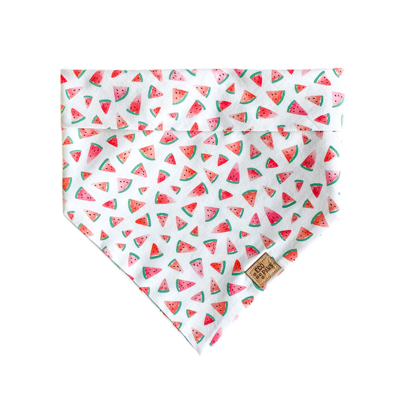 “Watermelon Sugar" Bandana