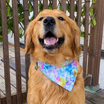 "Blue Tie Dye" Bandana