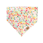 “Sangria" Bandana