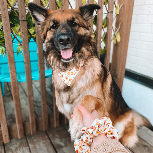 “Wild Flowers" Scrunchie