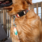Pawsome Day Dog Collar