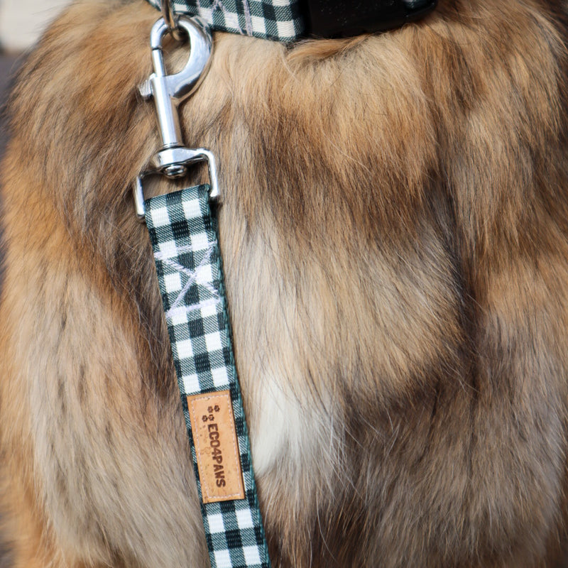 Midnight Plaid Dog Leash