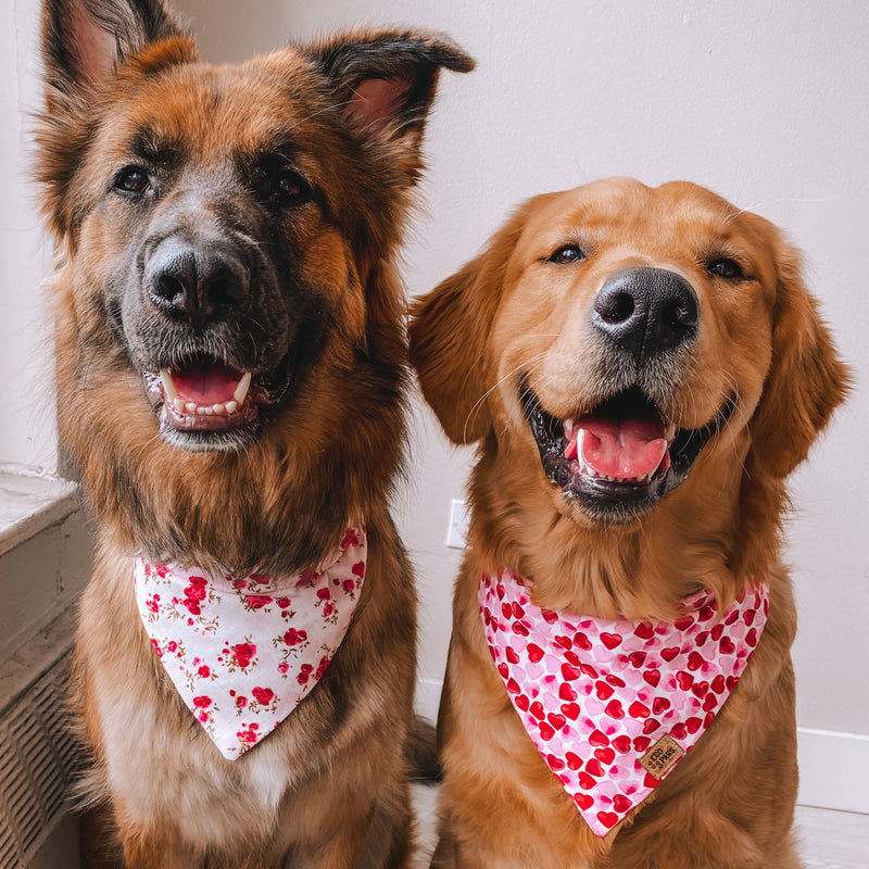 “Be Mine White" Bandana