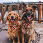 “Canadian At Heart" Bandana