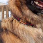 Fireside Plaid Dog Collar