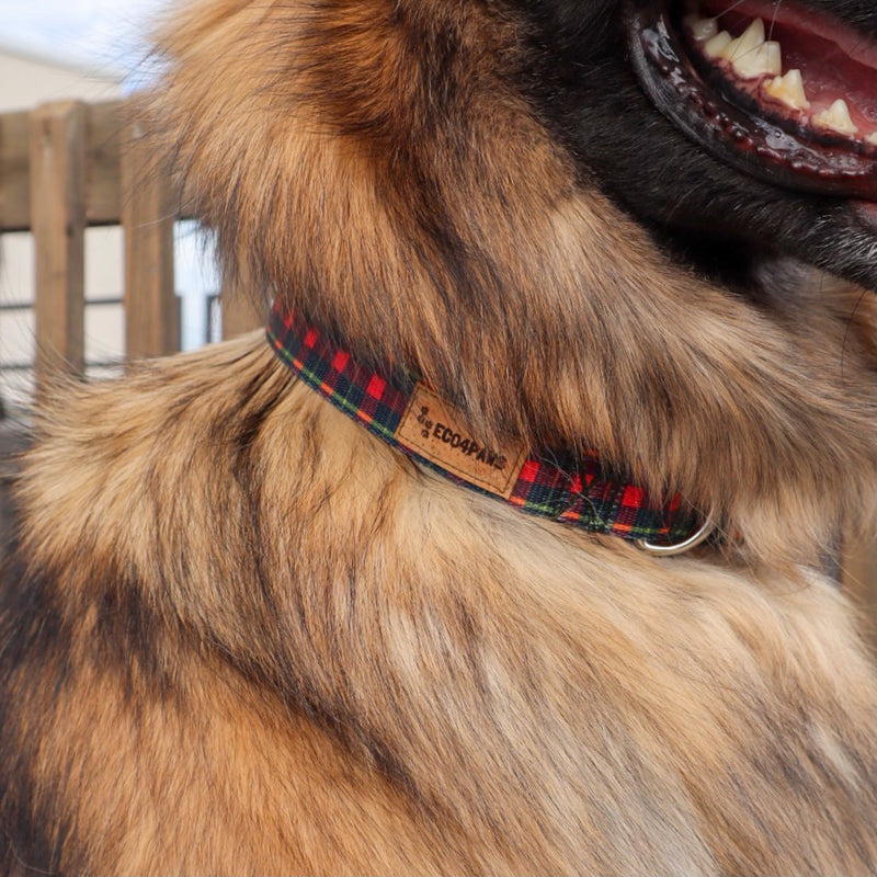 Fireside Plaid Dog Collar