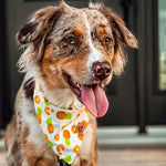 “Pineapple" Bandana