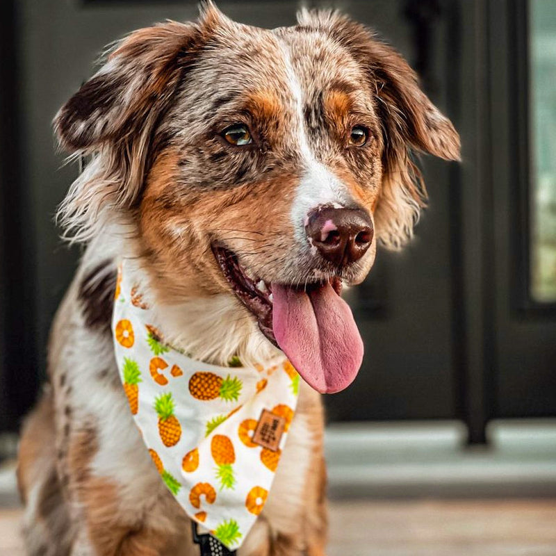 “Pineapple" Bandana