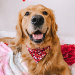 "Be Mine" Bandana