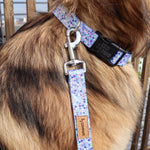 Blossom Dog Collar
