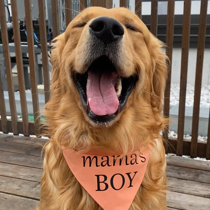 "Mama’s Boy Salmon" Bandana