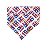 "July 4th" Bandana