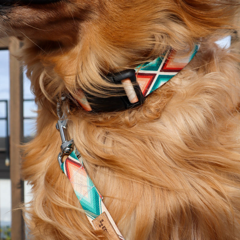 Pawsome Day Dog Collar