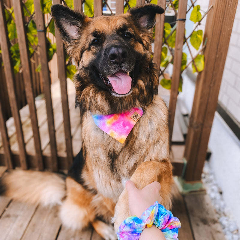 "Pink Tie Dye" Bandana